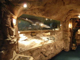 The National Opal Collection - Tourism Brisbane 2