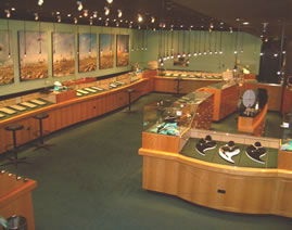 The National Opal Collection - Tourism Brisbane 3