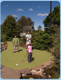 Wetlands Mini Golf - Tourism Brisbane 0