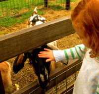 Collingwood Children's Farm - Tourism Brisbane