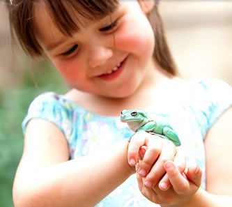 Reptile Encounters - Tourism Brisbane 1
