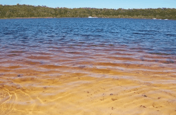 Beach Trekkers North Stradbroke Island - Tourism Brisbane 1
