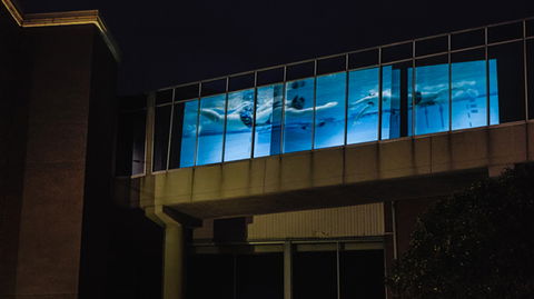 Kingston Arts - Tourism Brisbane 8