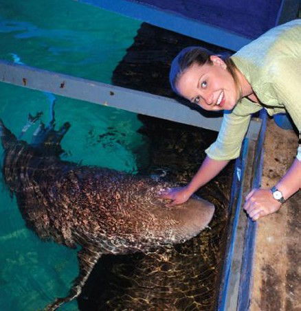 National Zoo & Aquarium - Tourism Brisbane 7