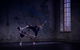 Sydney Dance Company - thumb 2