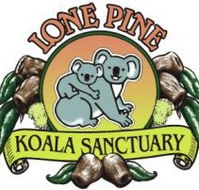 Lone Pine Koala Sanctuary - Tourism Brisbane