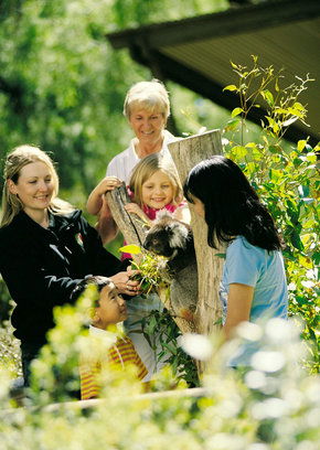 Cleland Wildlife Park - Brisbane Tourism 5