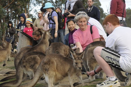East Coast Natureworld - Tourism Brisbane 4