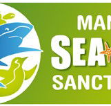 Manly SEA LIFE Sanctuary - Tourism Brisbane