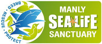 Manly SEA LIFE Sanctuary - Tourism Brisbane 0