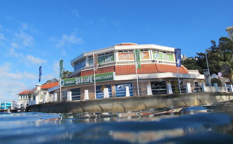 Manly SEA LIFE Sanctuary - Tourism Brisbane 2