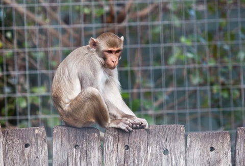 Darling Downs Zoo - Tourism Brisbane 5