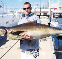 True Blue Fishing Charters - Brisbane Tourism
