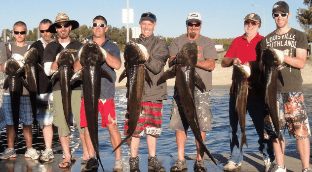 BKs Gold Coast Fishing Charters - Brisbane 4u 1