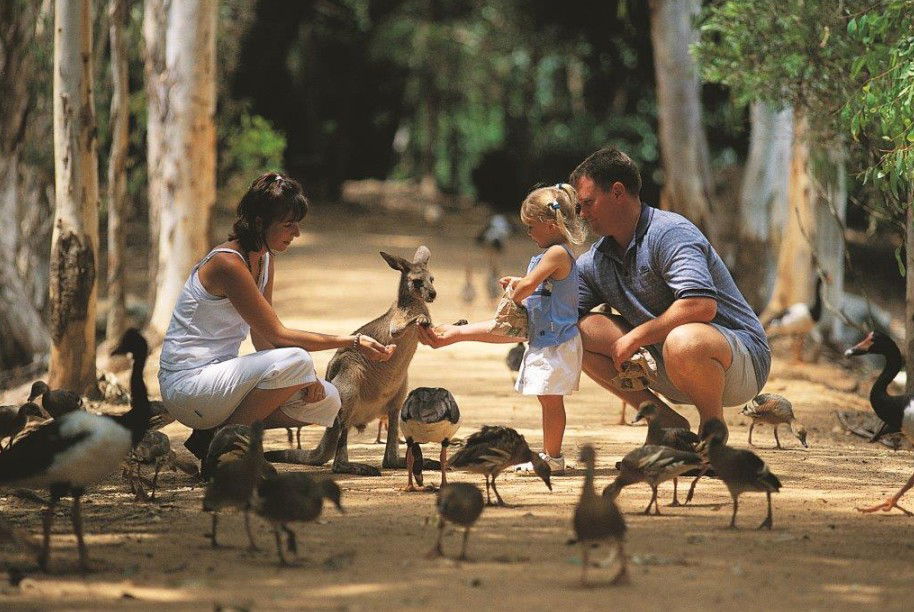  Tourism Brisbane