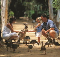 Billabong Sanctuary - Tourism Brisbane