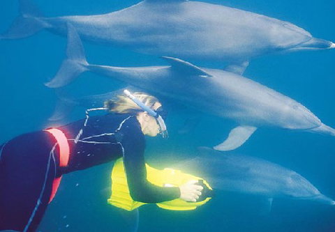 Rockingham Wild Encounters - Brisbane Tourism 1