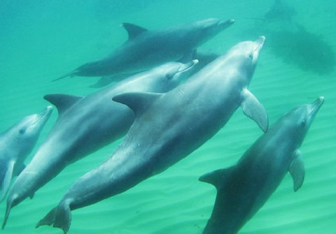 Rockingham Wild Encounters - Brisbane Tourism 4