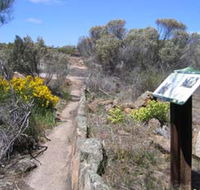 Christmas Rock Walk - Brisbane 4u