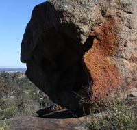 Eagle's View Walk John Forrest National Park - Tourism Brisbane