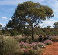 Karlkurla Bushland Park - Brisbane 4u