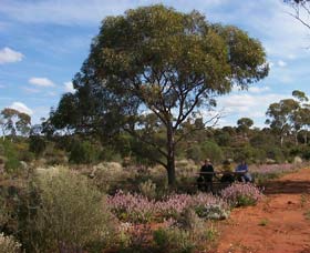 Karlkurla Bushland Park - Tourism Brisbane 0