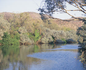 Alligator Hole - Brisbane Tourism 0