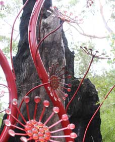 Meerup WA Tourism Brisbane