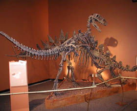 Denmark Dinosaur World - Brisbane Tourism 0