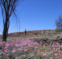 Talgomine Reserve - Brisbane 4u