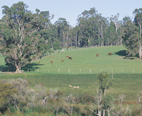 Scenic Drives - Bunbury Collie Donnybrook - Brisbane Tourism 0