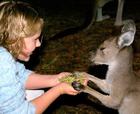 Discovery Bay's Walk On The Wild Side - Tourism Brisbane 0