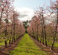 Raeburn Orchards - Tourism Brisbane