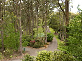 Mount Lofty Botanic Garden - Tourism Brisbane 0