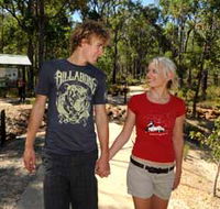 Crooked Brook Forest - Brisbane Tourism