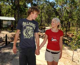 Crooked Brook Forest - Tourism Brisbane 0