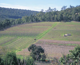 Darling Range - Brisbane Tourism 0