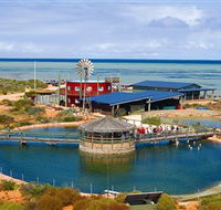 Ocean Park Aquarium - Tourism Brisbane