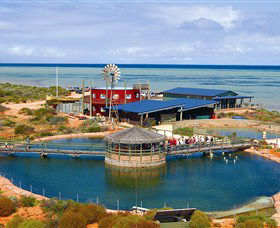 Ocean Park Aquarium - Tourism Brisbane 0