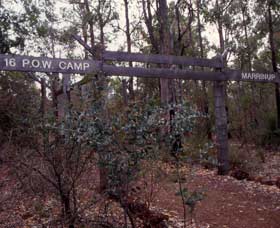 Marrinup Trail, Dwellingup - Tourism Brisbane 0