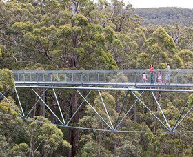 Walpole Wilderness Discovery Centre - Tourism Brisbane 0
