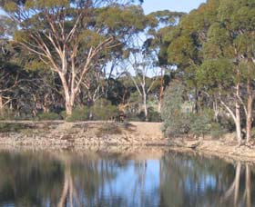 Merredin Railway Dam - Tourism Brisbane 0
