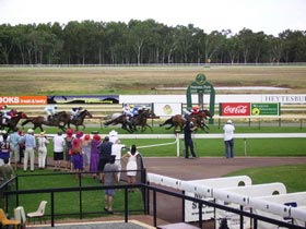 Pinjarra Race Club - Tourism Brisbane 0