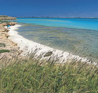 Paradise Beach - Brisbane Tourism