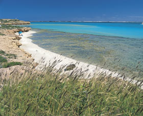 Paradise Beach - Tourism Brisbane 0