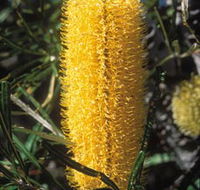 Moore River National Park - Tourism Brisbane