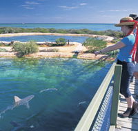 Shark Bay Marine Park - Tourism Brisbane