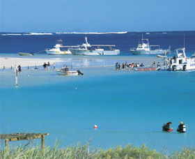 Bill's Bay - Tourism Brisbane 0