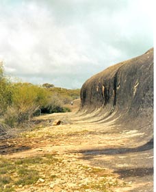 Totadgin Dam Reserve - Tourism Brisbane 0
