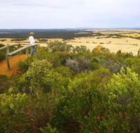 Archer Drive Scenic Drive and Lookout - Tourism Brisbane